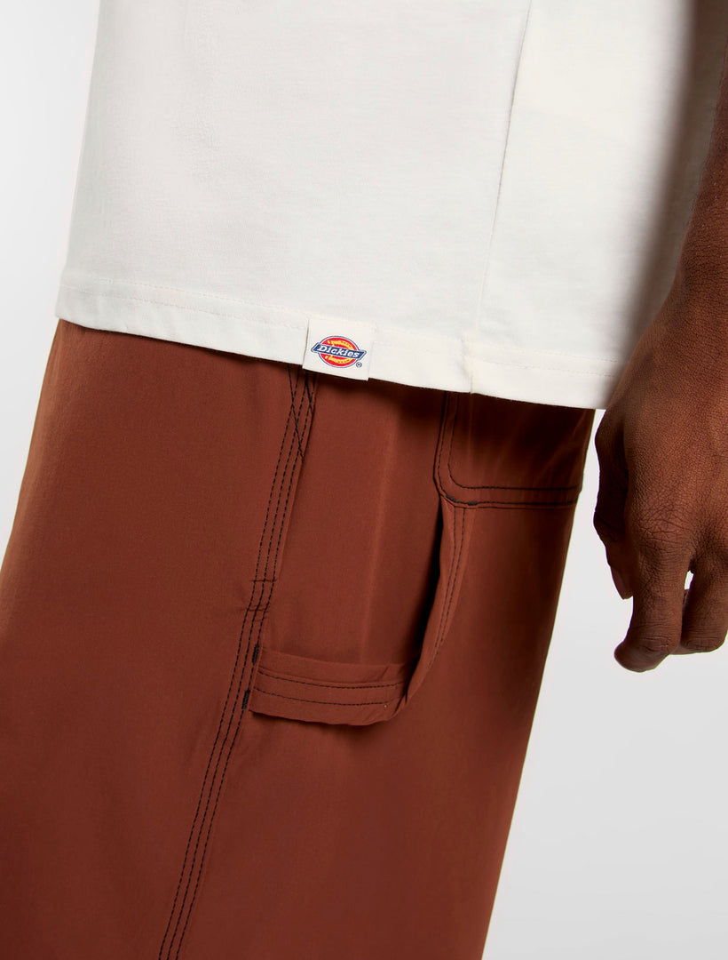 Dickies Landascape Tee - Beige