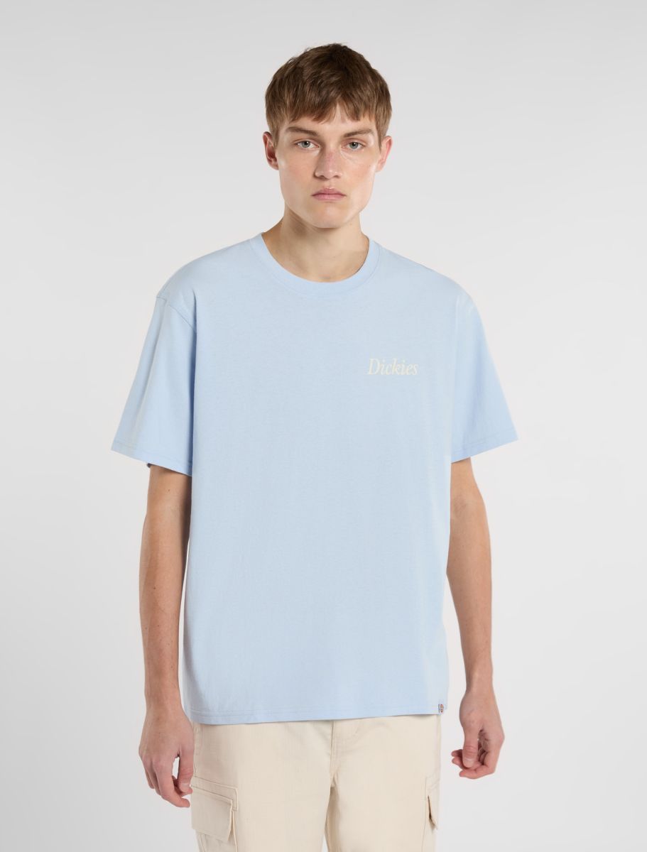 Dickies Companion Script Tee - Light Blue