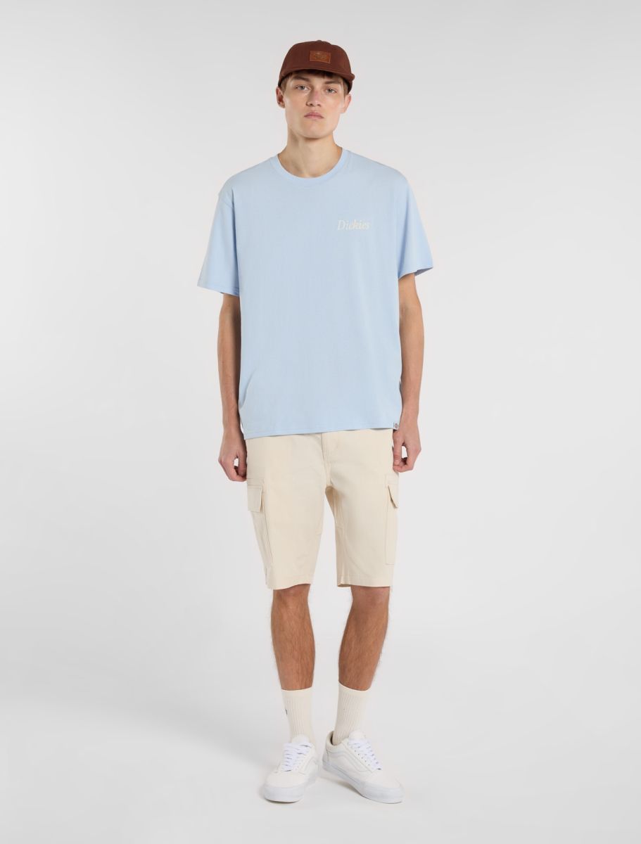Dickies Companion Script Tee - Light Blue
