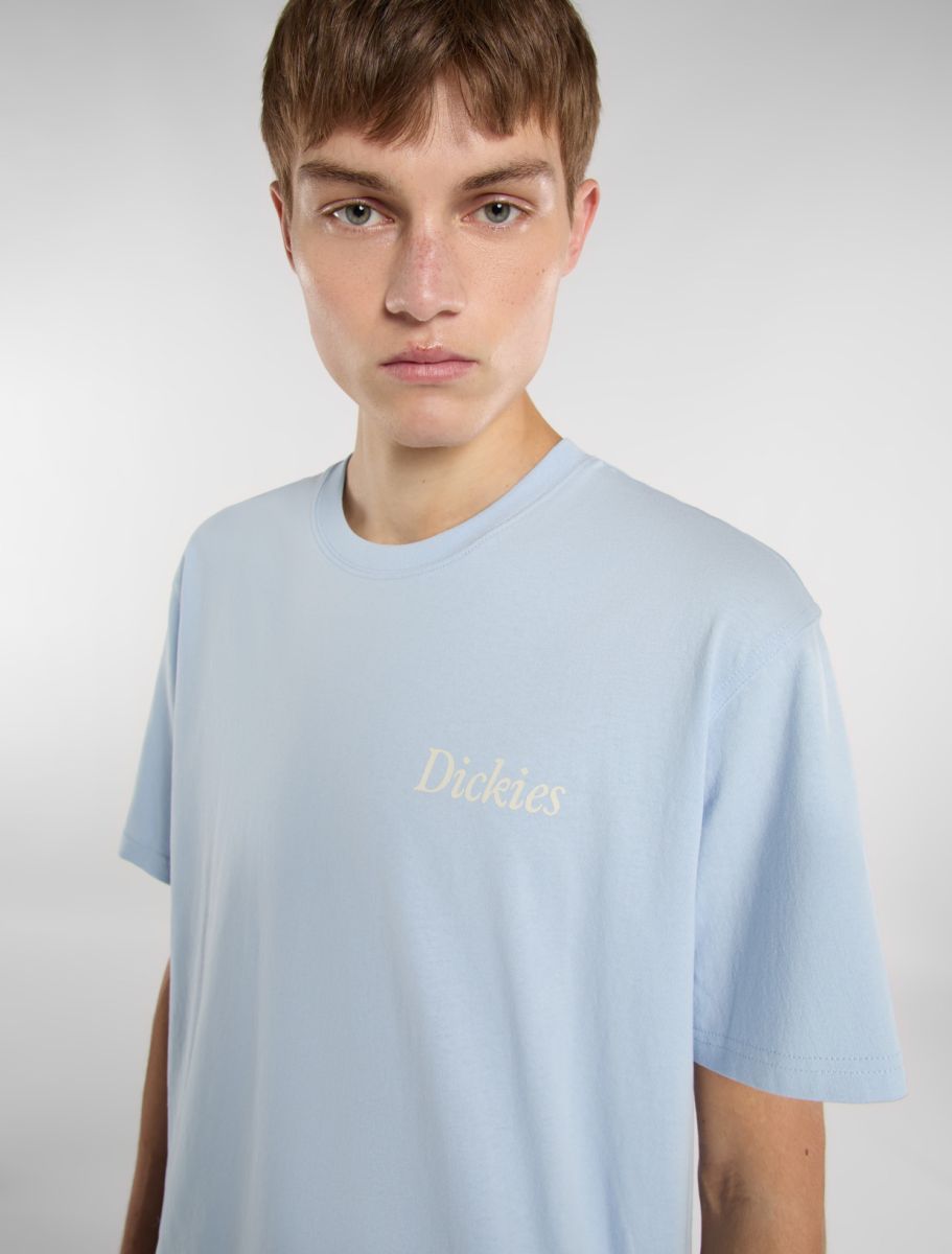 Dickies Companion Script Tee - Light Blue