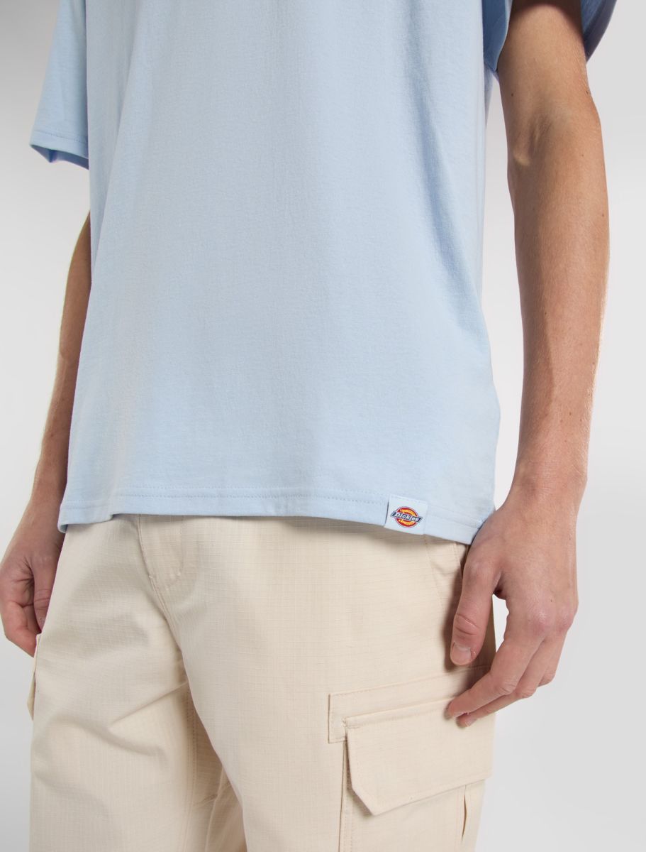 Dickies Companion Script Tee - Light Blue