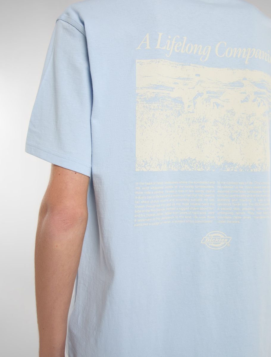 Dickies Companion Script Tee - Light Blue