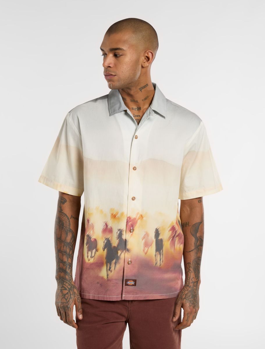Dickies Running Wild S/S Shirt - Brown