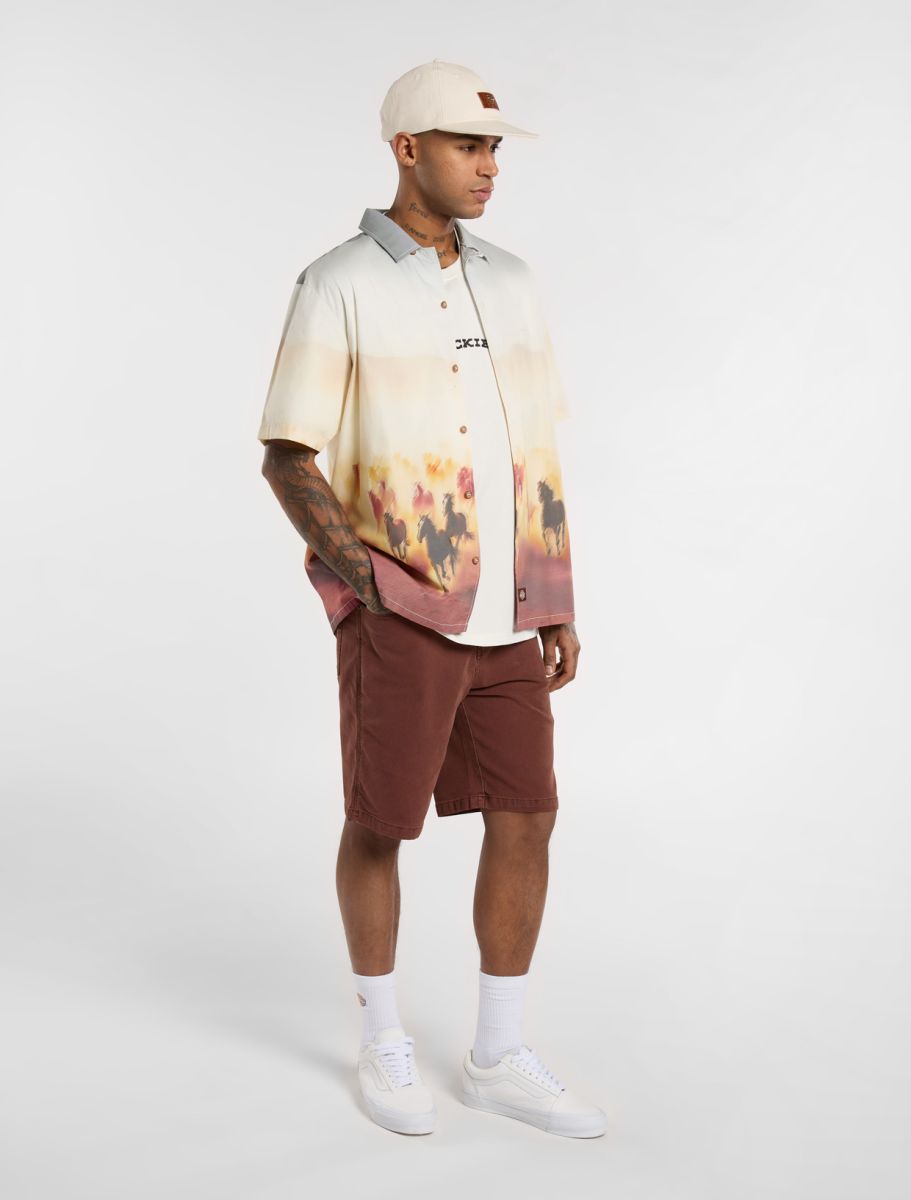 Dickies Running Wild S/S Shirt - Brown