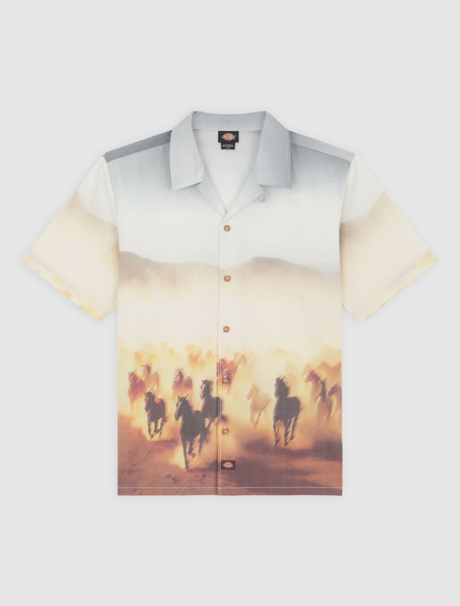 Dickies Running Wild S/S Shirt - Brown