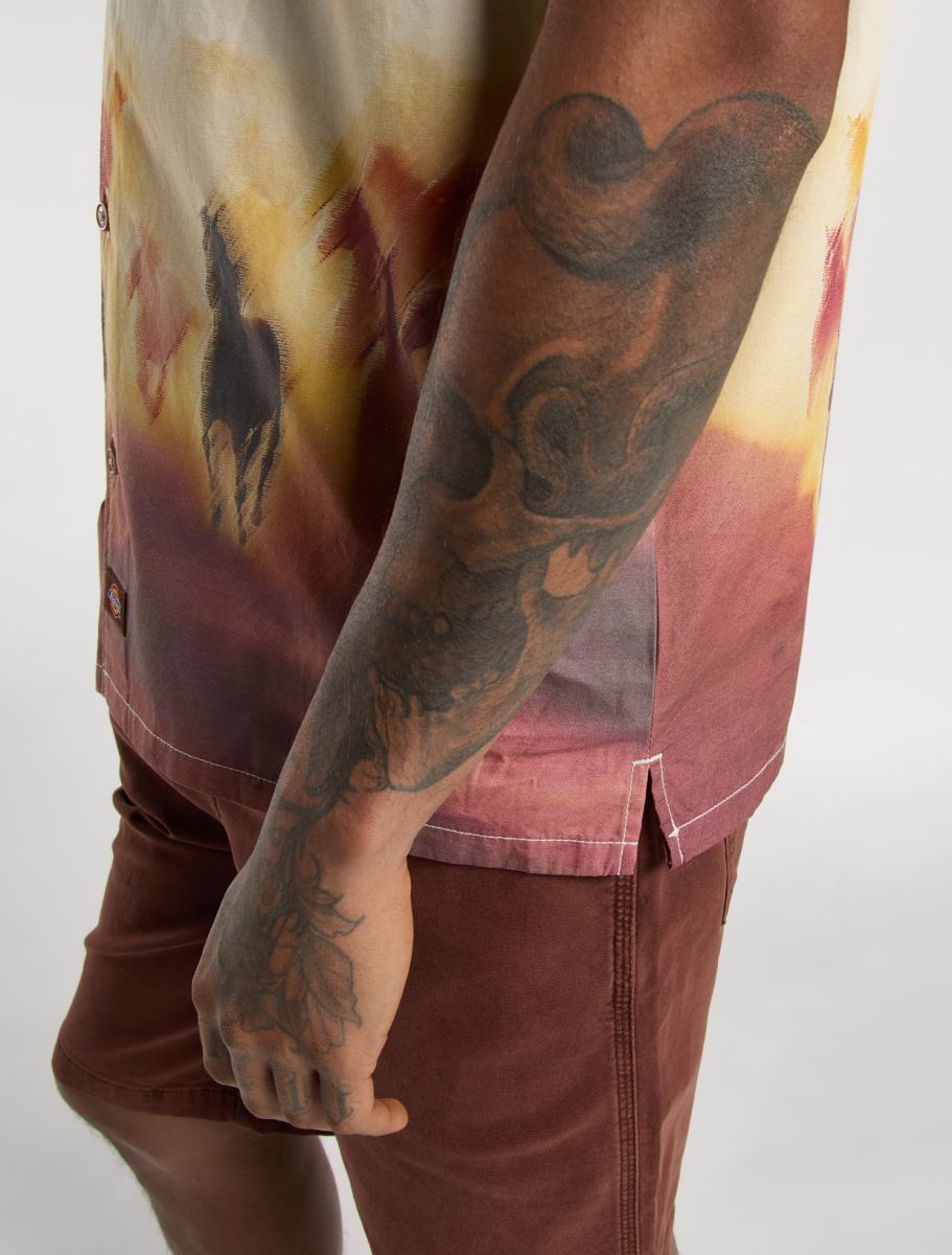 Dickies Running Wild S/S Shirt - Brown