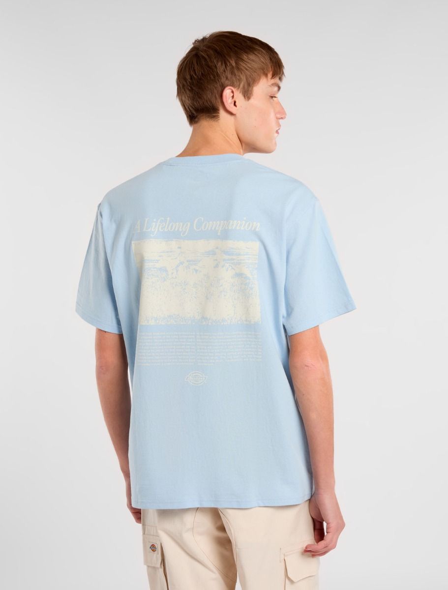 Dickies Companion Script Tee - Light Blue