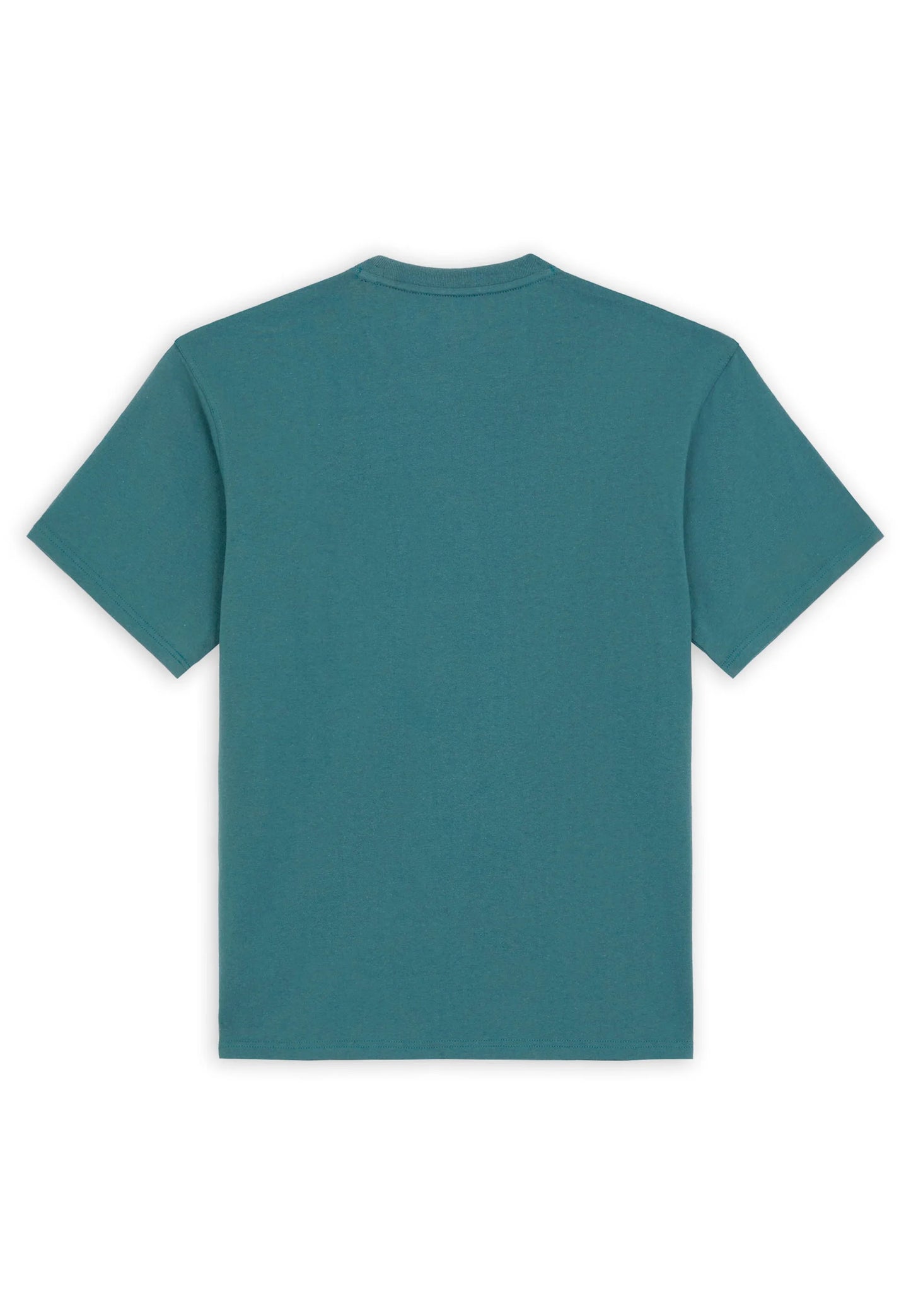 Dickies Clancy Heavyweight T-shirt - Green