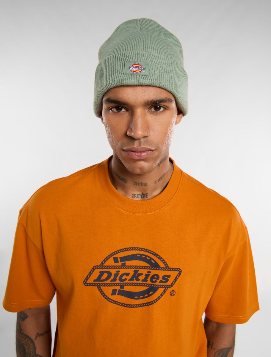 Dickies Gibsland Beanie - Olive Green