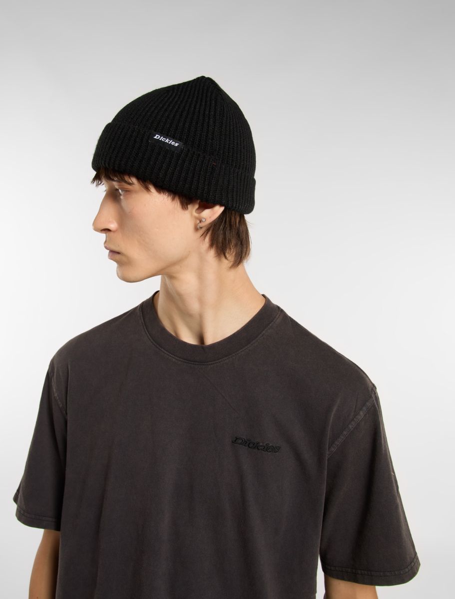 Dickies Woodworth Beanie - Black