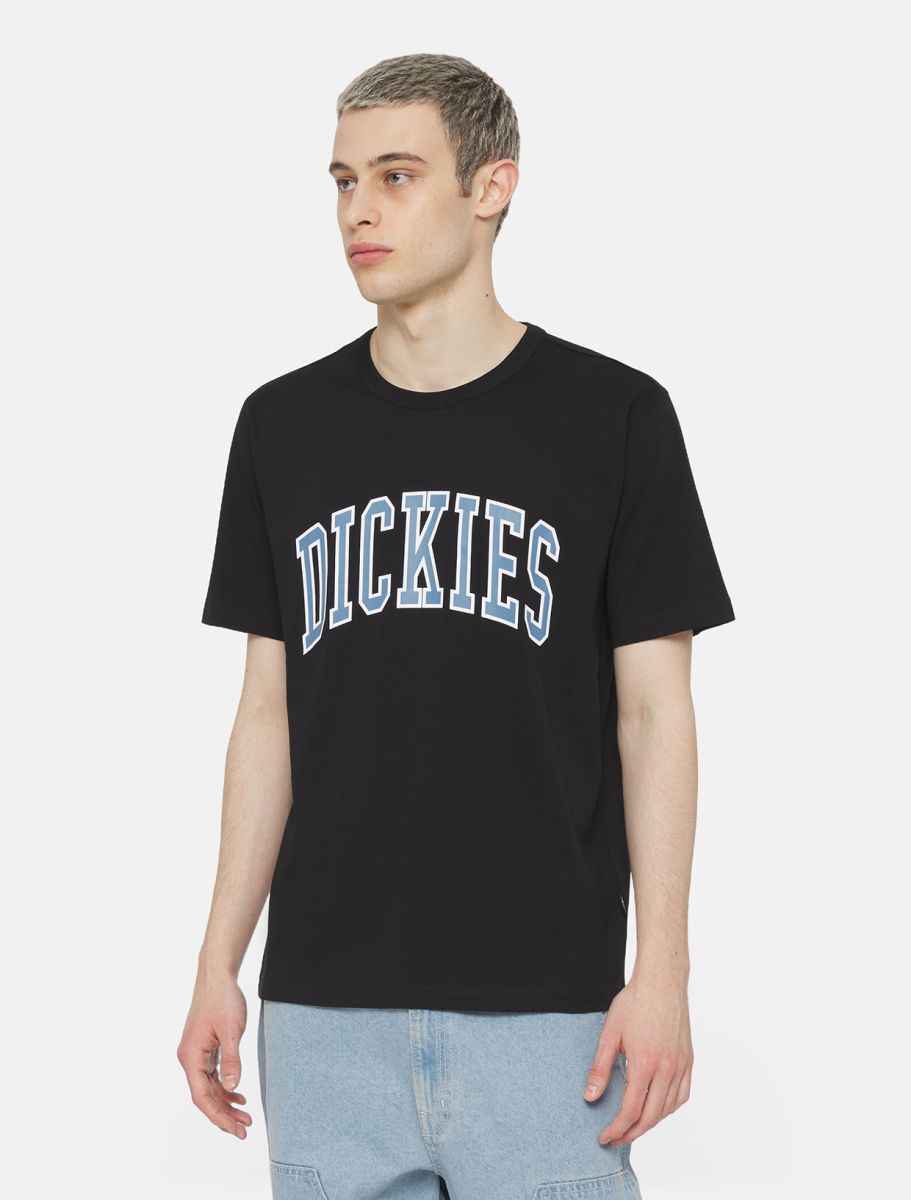 Dickies Aitkin T-shirt - Black/Coronet Blue