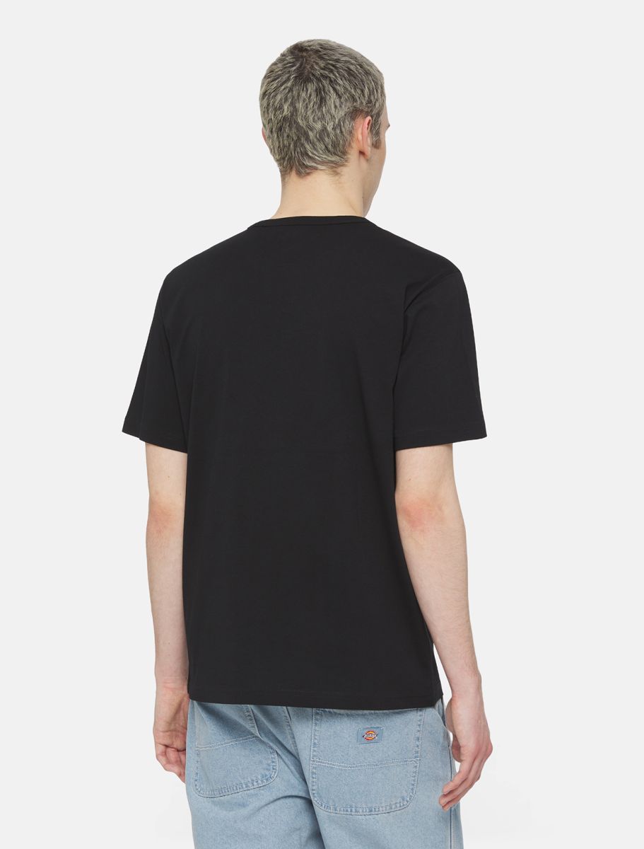 Dickies Aitkin T-shirt - Black/Coronet Blue