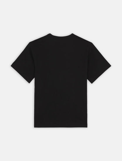 Dickies Aitkin T-shirt - Black/Coronet Blue