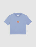 Dickies Maple Valley Tee - Blue - Kubanna
