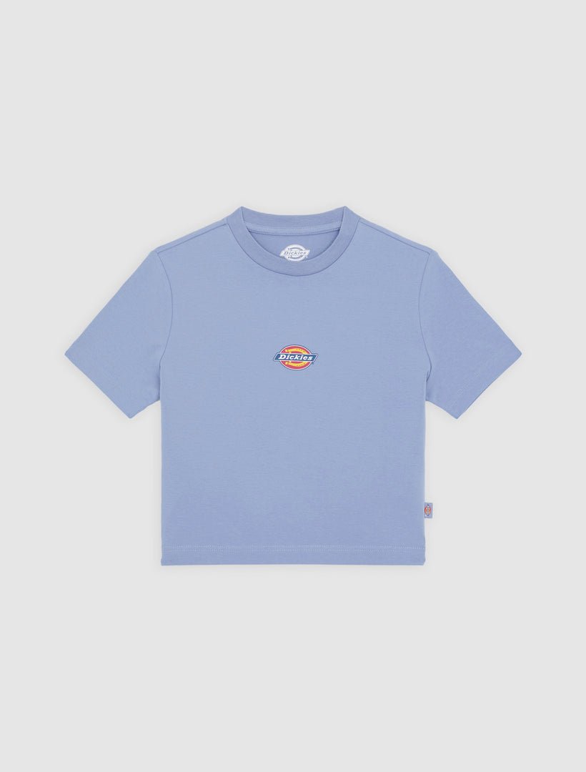 Dickies Maple Valley Tee - Blue - Kubanna