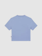 Dickies Maple Valley Tee - Blue - Kubanna