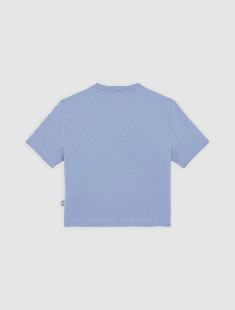 Dickies Maple Valley Tee - Blue - Kubanna