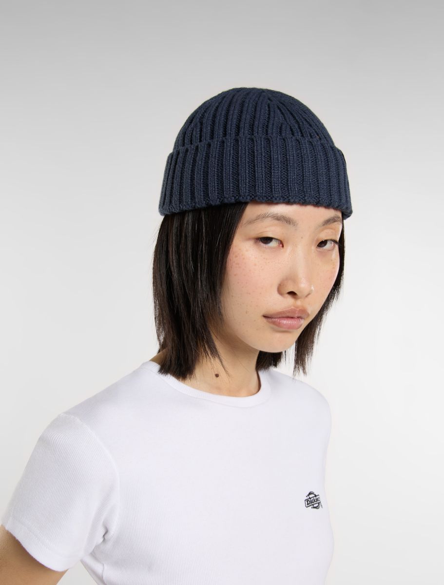 Dickies Lockwood Beanie - Navy