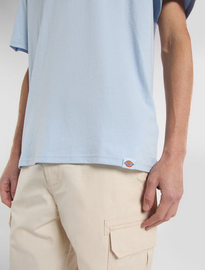 Dickies Companion Script Tee - Light Blue