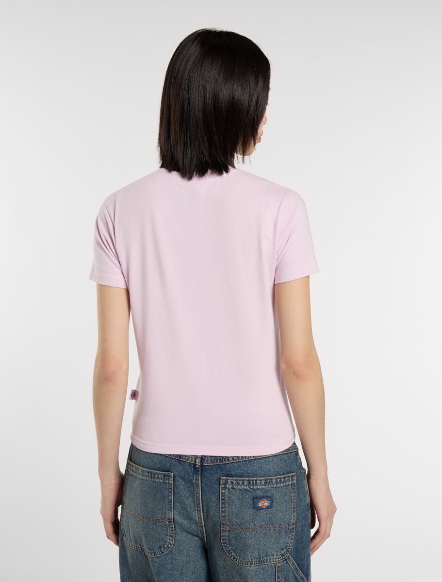 Dickies Maple Valley Tee - Peach Brulee - Kubanna