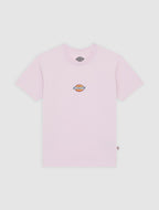 Dickies Maple Valley Tee - Peach Brulee - Kubanna