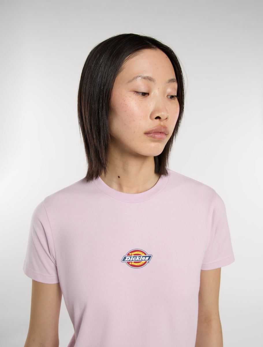 Dickies Maple Valley Tee - Peach Brulee - Kubanna