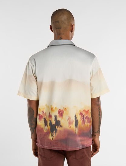 Dickies Running Wild S/S Shirt - Brown
