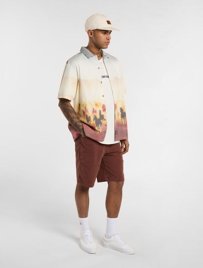 Dickies Running Wild S/S Shirt - Brown