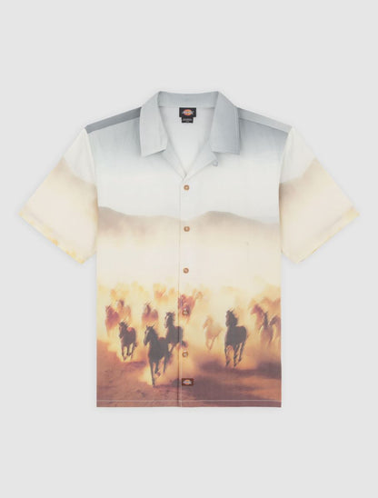 Dickies Running Wild S/S Shirt - Brown