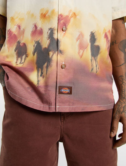 Dickies Running Wild S/S Shirt - Brown