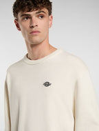 Dickies Summerdale Sweater - Beige - Kubanna