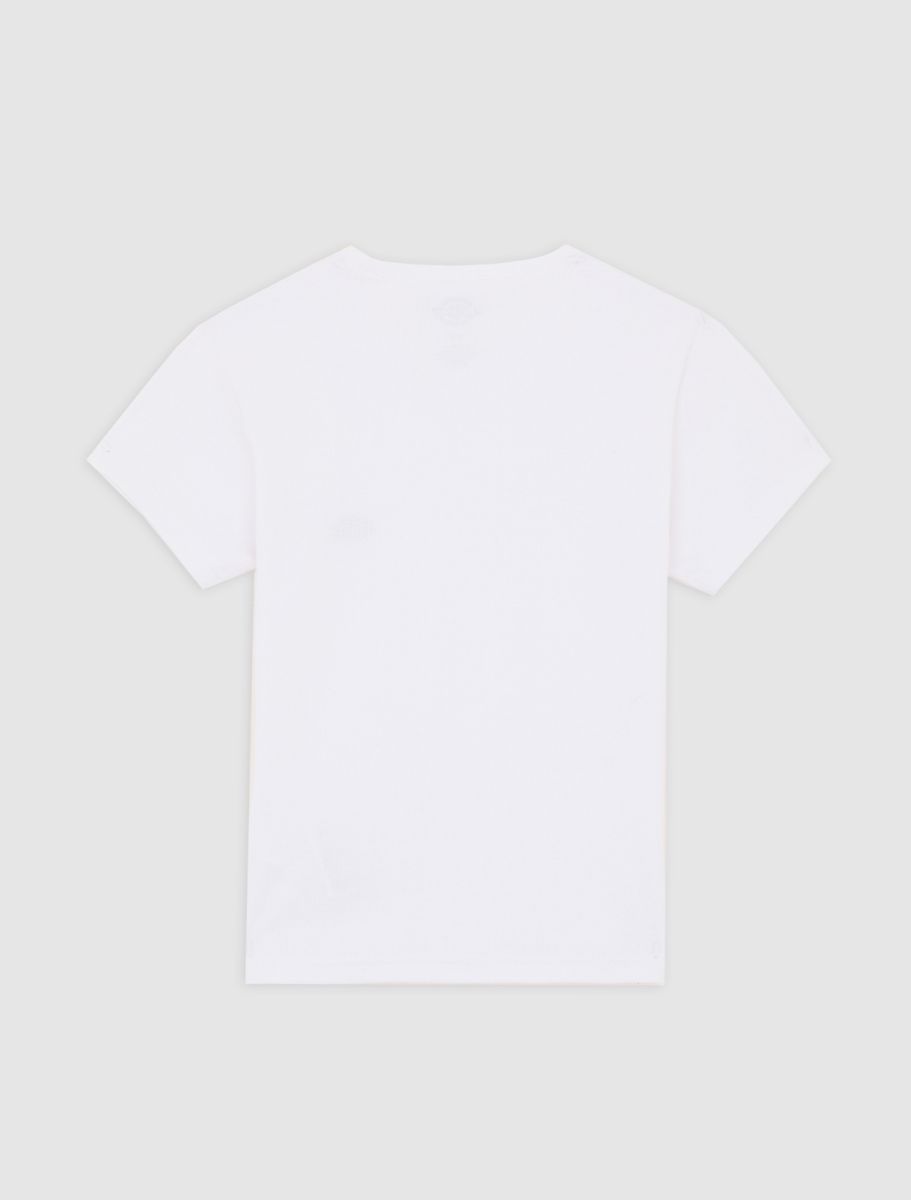Dickies Gladeville Tee - White - Kubanna
