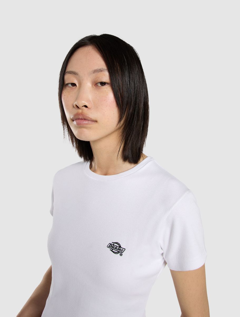 Dickies Gladeville Tee - White - Kubanna