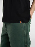 Dickies Burns Tee - Black - Kubanna