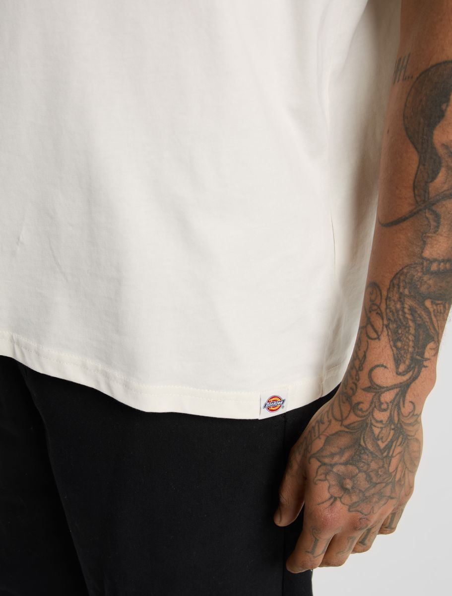 Dickies Sneedville Tee - Beige - Kubanna