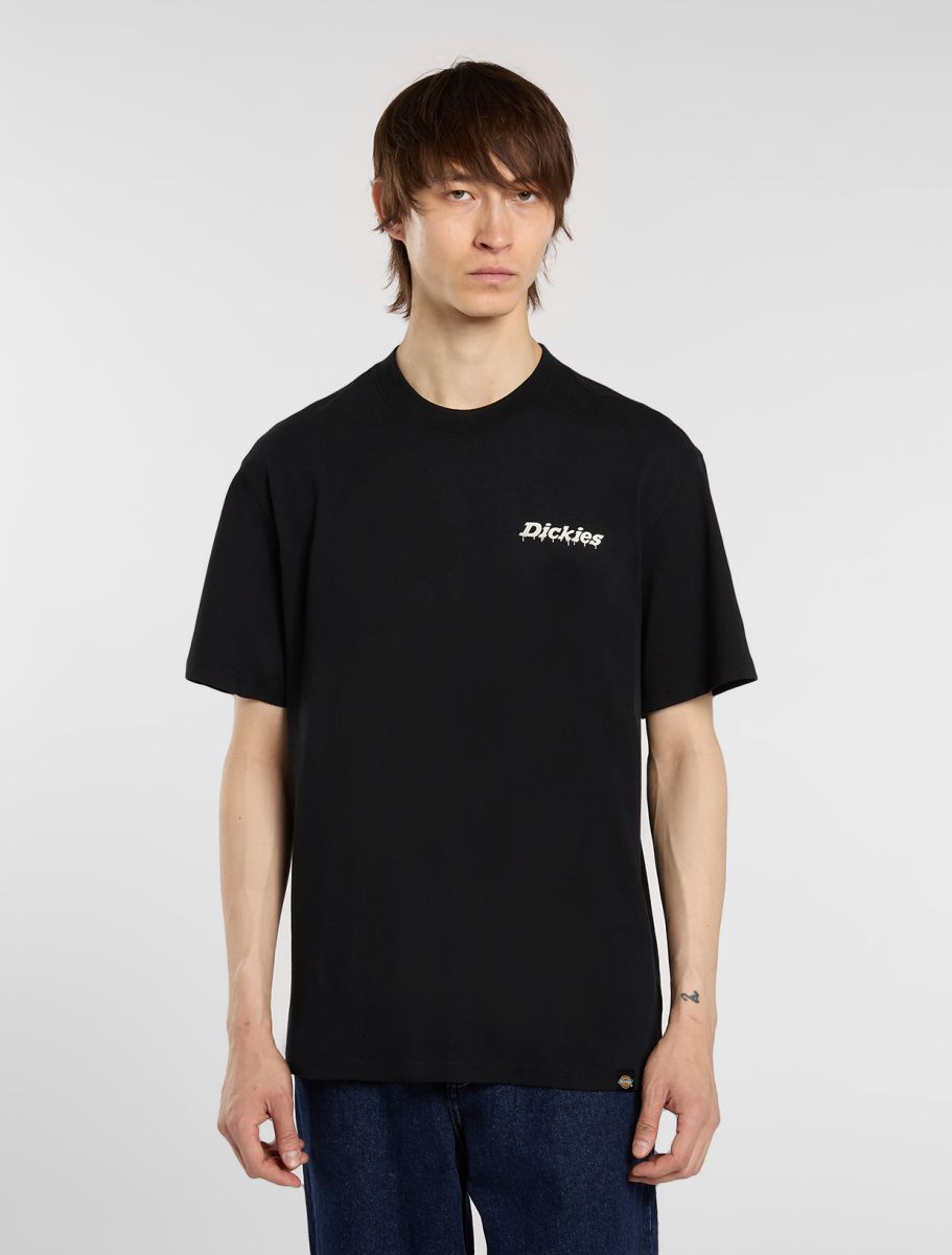Dickies Stateville Tee - Black - Kubanna