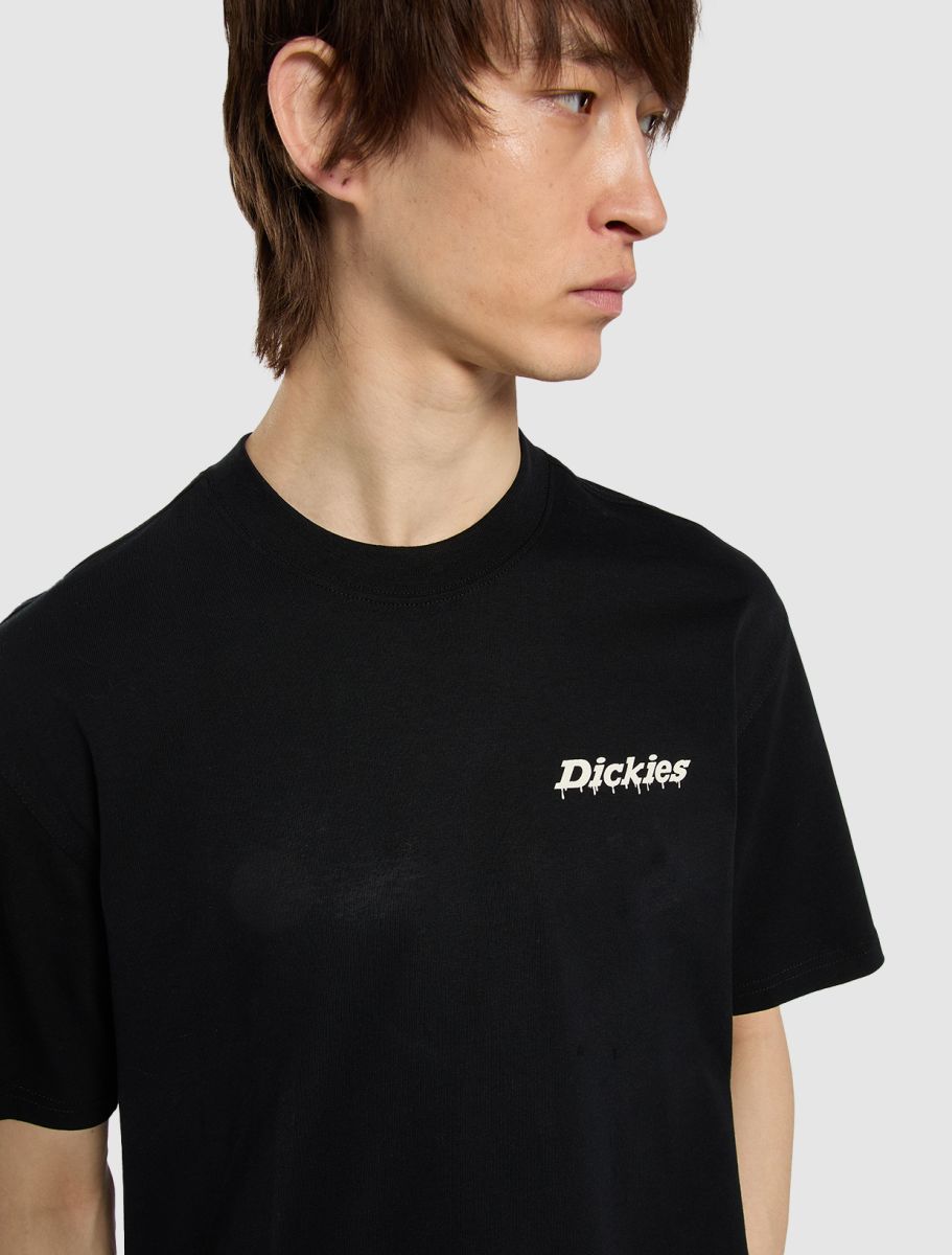 Dickies Stateville Tee - Black - Kubanna