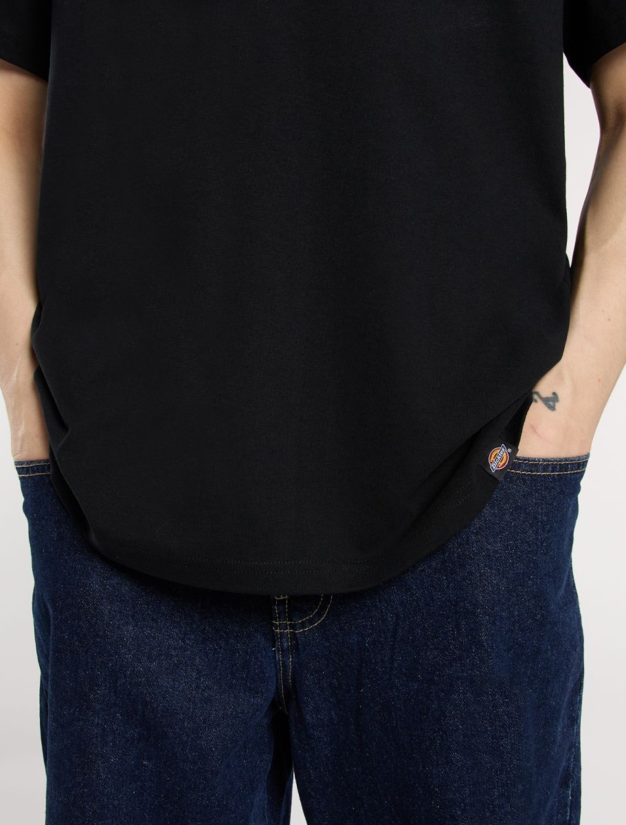 Dickies Stateville Tee - Black - Kubanna