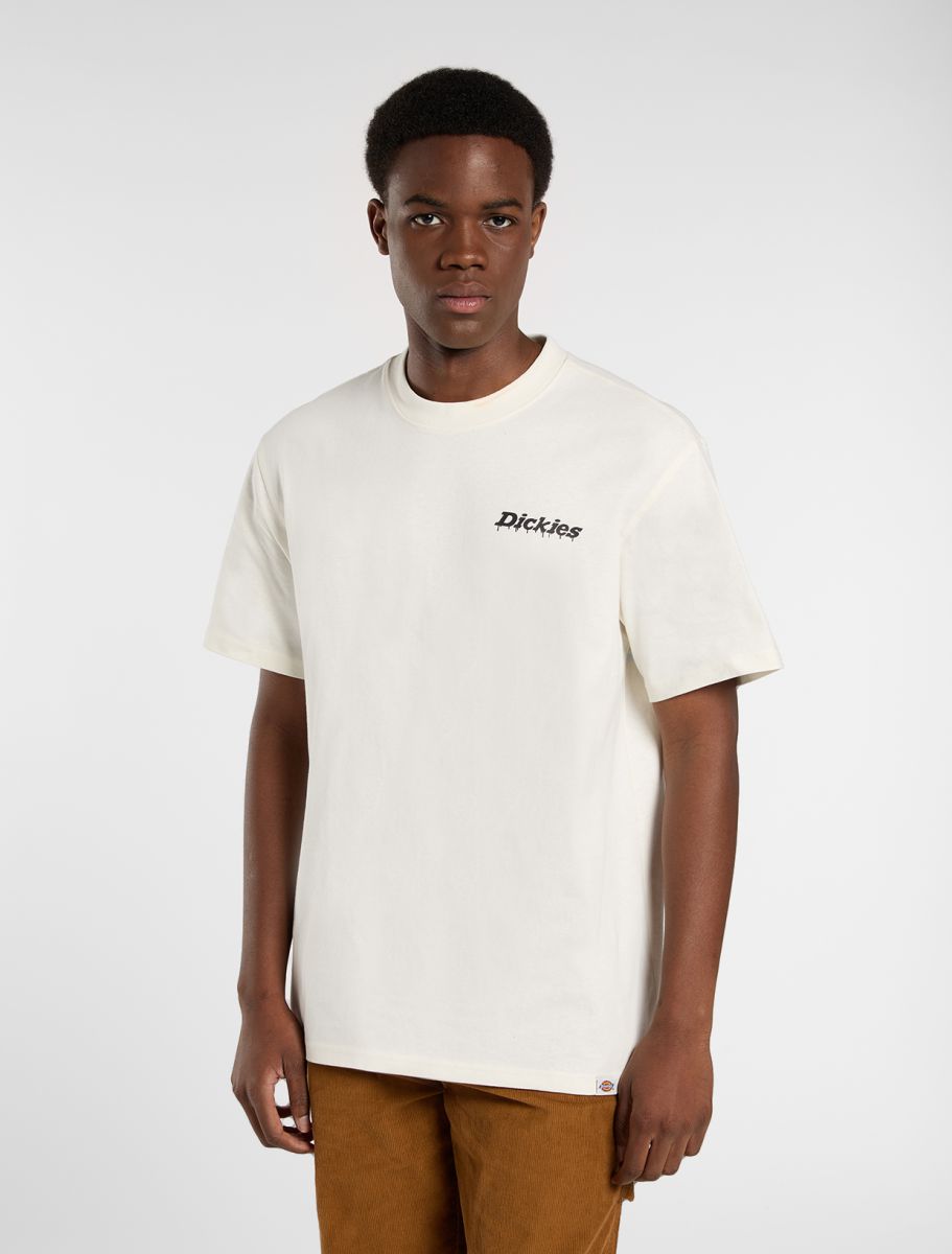 Dickies Stateville Tee - White - Kubanna