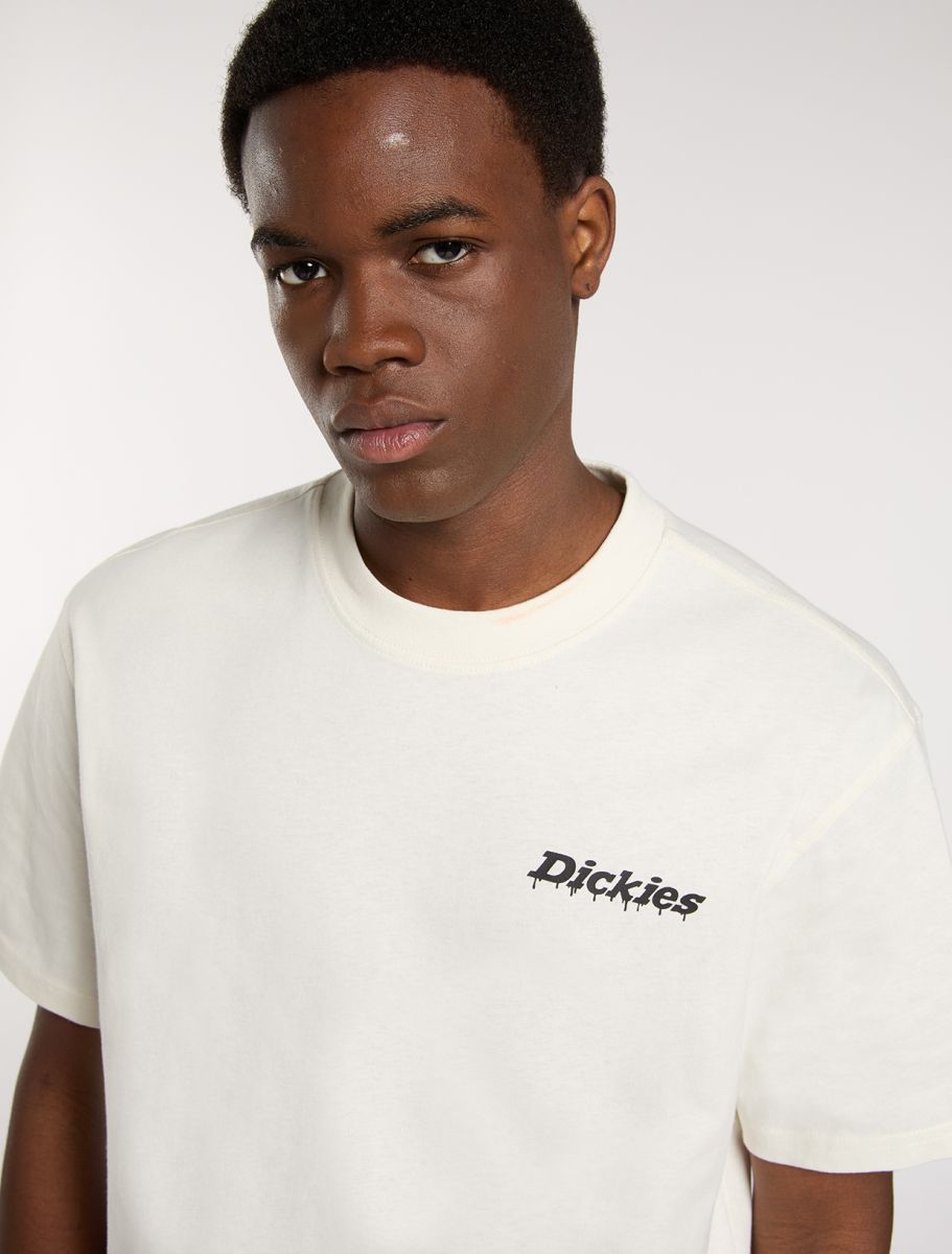 Dickies Stateville Tee - White - Kubanna
