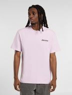 Dickies Stateville Tee - Peach Brulee - Kubanna