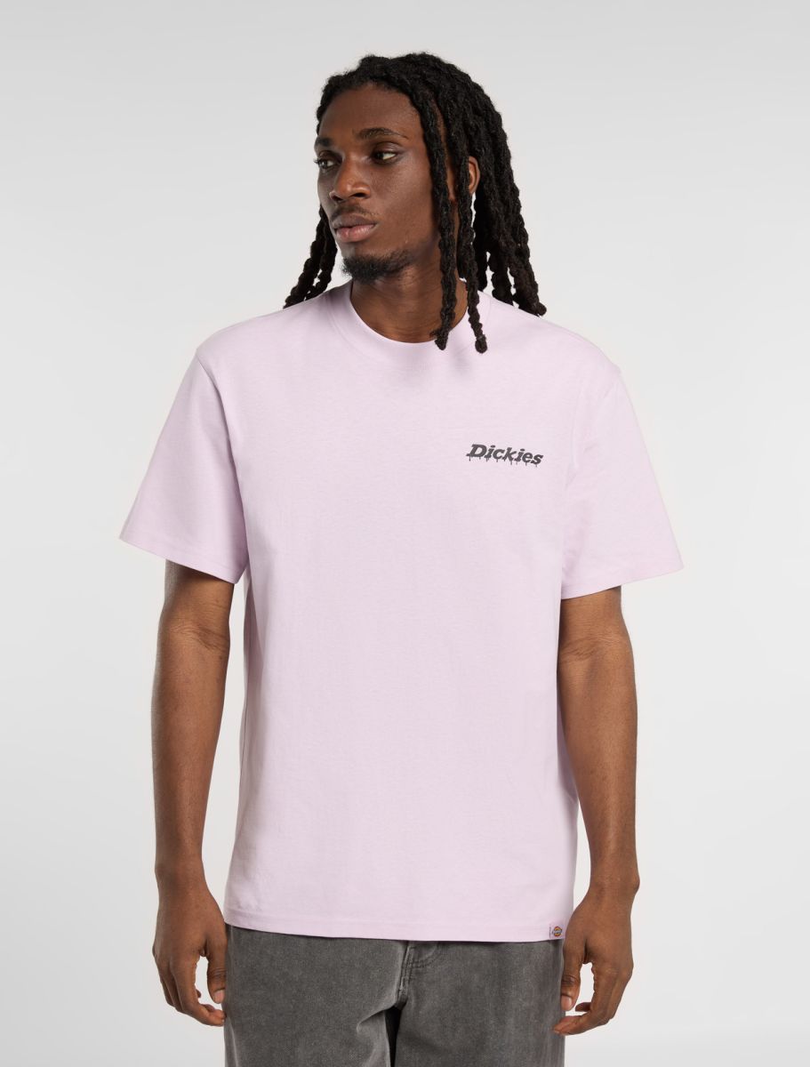 Dickies Stateville Tee - Peach Brulee - Kubanna