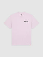 Dickies Stateville Tee - Peach Brulee - Kubanna