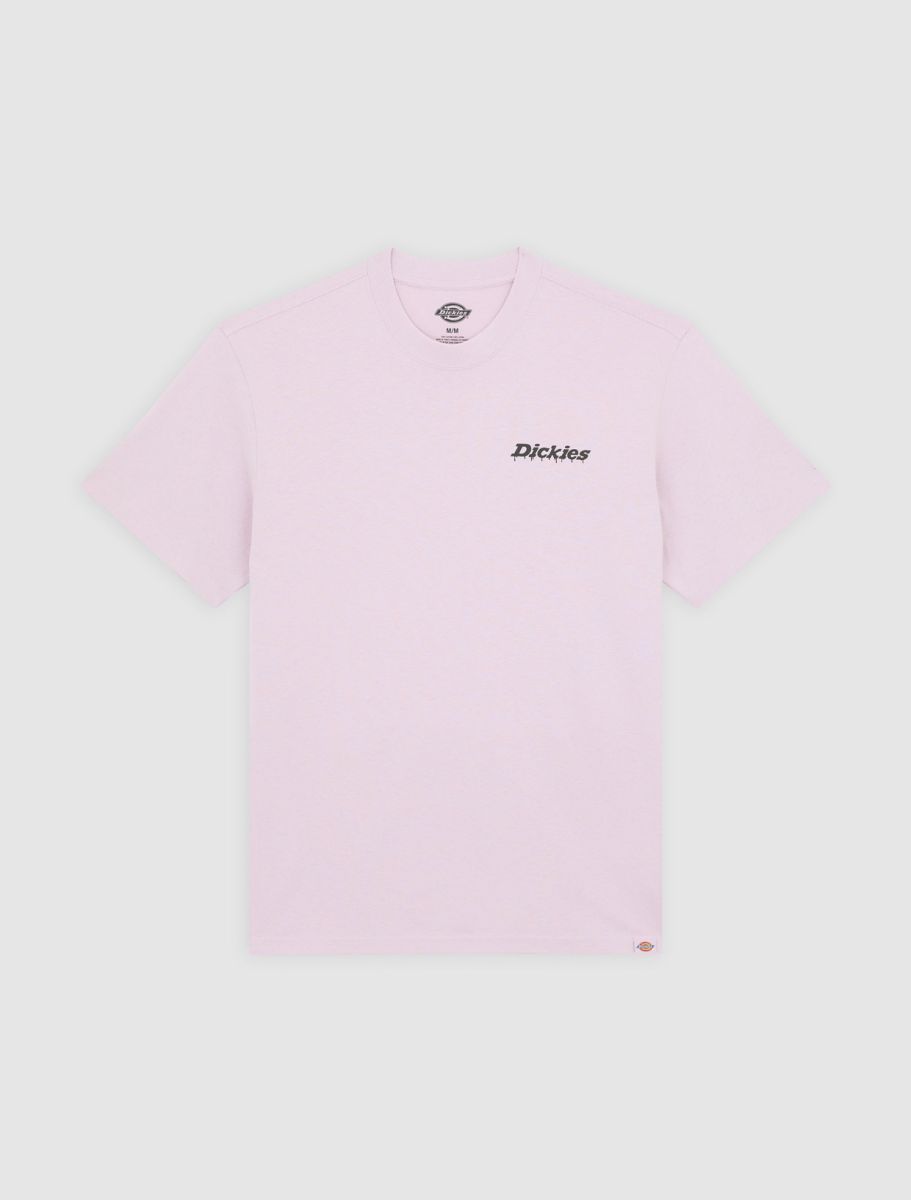 Dickies Stateville Tee - Peach Brulee - Kubanna