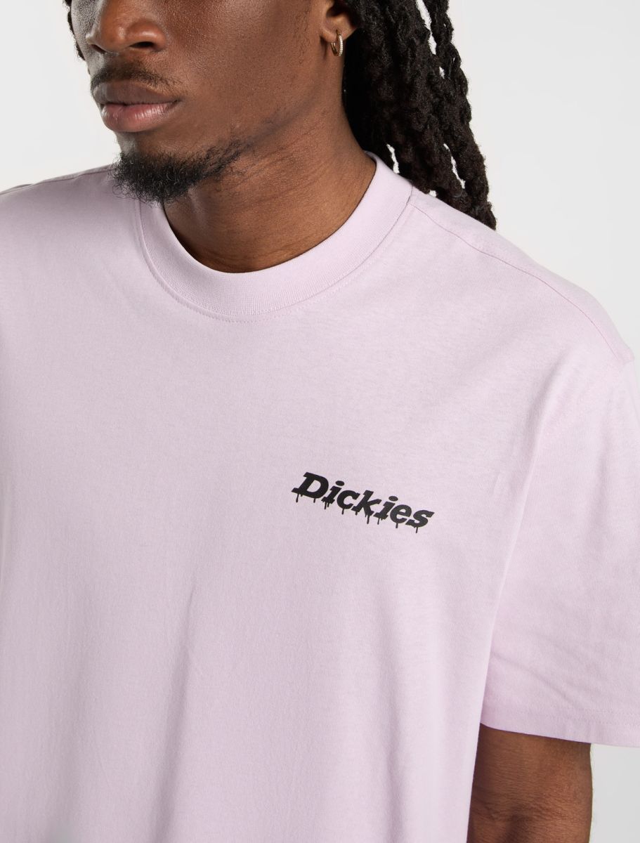 Dickies Stateville Tee - Peach Brulee - Kubanna