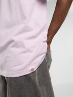 Dickies Stateville Tee - Peach Brulee - Kubanna