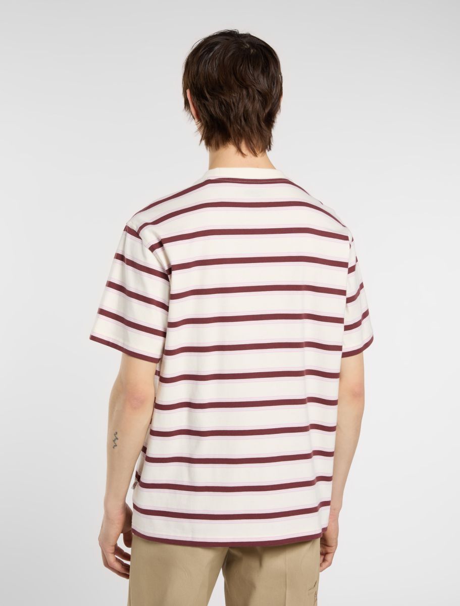 Dickies York Stripe Tee - Beige - Kubanna