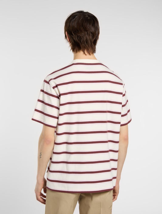 Dickies York Stripe Tee - Beige