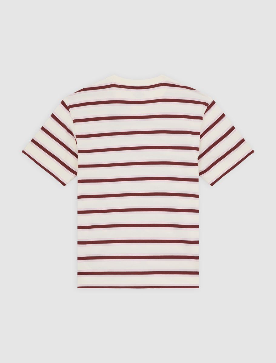 Dickies York Stripe Tee - Beige - Kubanna