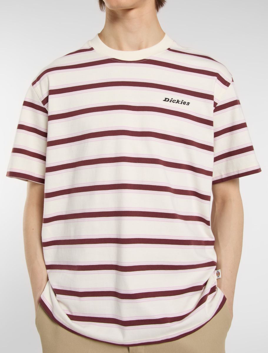Dickies York Stripe Tee - Beige - Kubanna